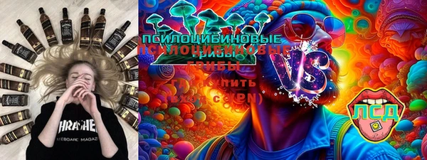 ПСИЛОЦИБИНОВЫЕ ГРИБЫ Алзамай